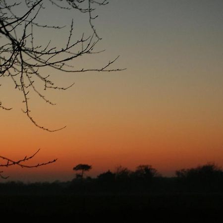 Gite Le Coucher De Soleil Plessé Kültér fotó